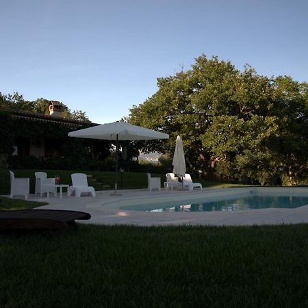 The Forest House Isernia Exterior foto